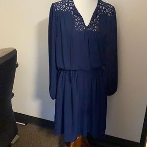 WHBM Navy Dress